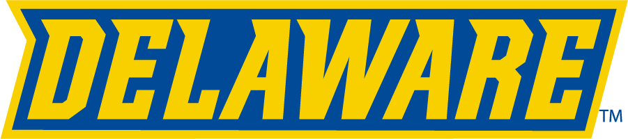 Delaware Blue Hens 2018-Pres Wordmark Logo v2 diy iron on heat transfer